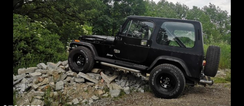 Jeep Wrangler cena 49500 przebieg: 166000, rok produkcji 1991 z Góra małe 191